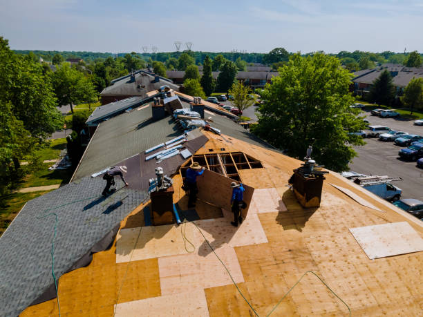 Trusted Emergency Roof Repair service in Waring, TX - Brentwood Metal Roofing
